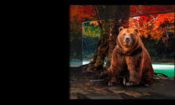 تلویزیون نانوسل چیست؟ تاثیر فناوری نانوسل بر کیفیت تصویر تلویزیون