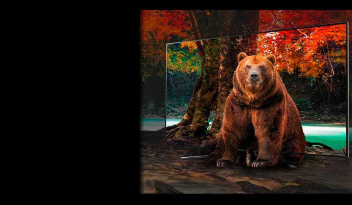 تلویزیون نانوسل چیست؟ تاثیر فناوری نانوسل بر کیفیت تصویر تلویزیون