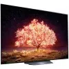 تلویزیون OLED ال جی 65B1