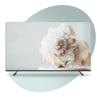 تلویزیون 55 اینچ ایوولی