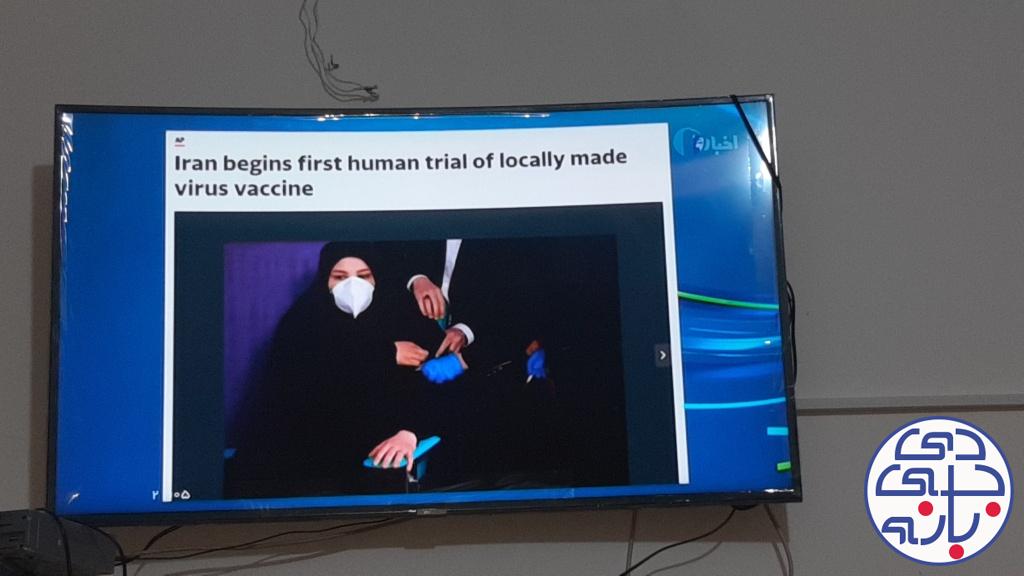 الهام امین الرعایا