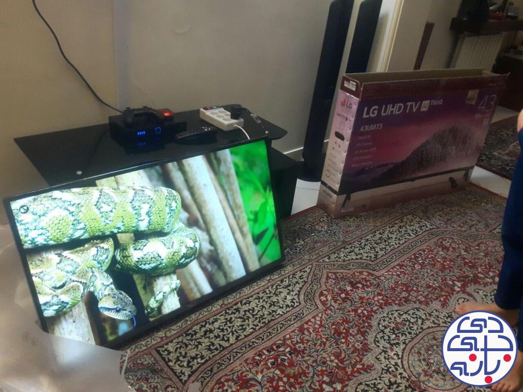حسن زارع