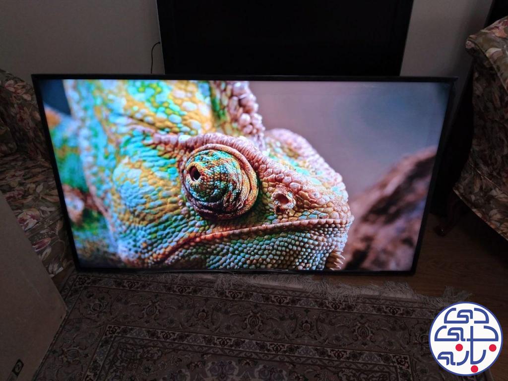 مرتضی بیات پور