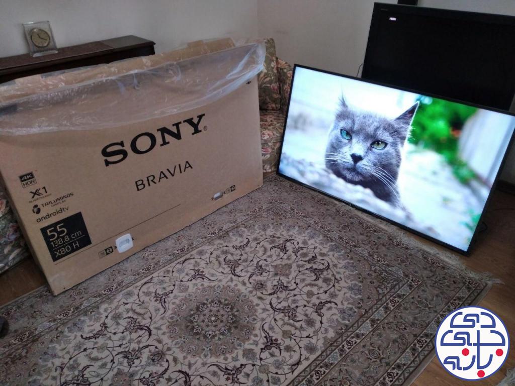 مرتضی بیات پور