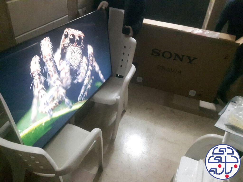 رامین عالمی