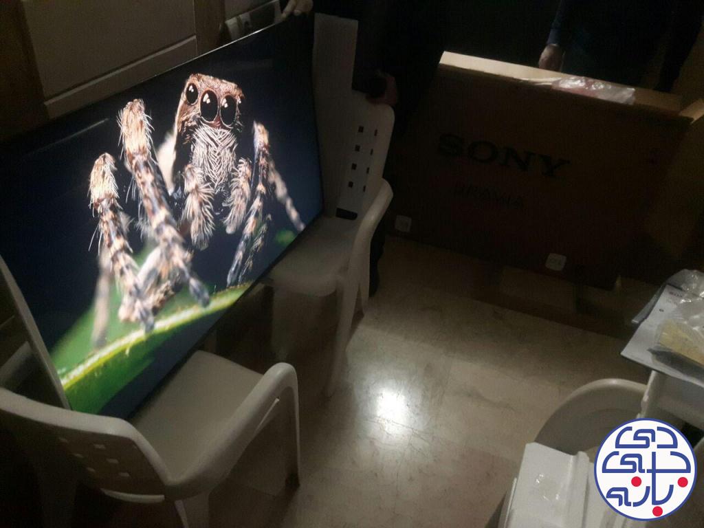 رامین عالمی