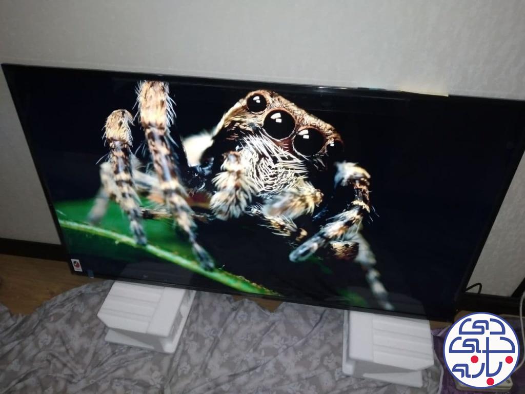 حسین بهارلو