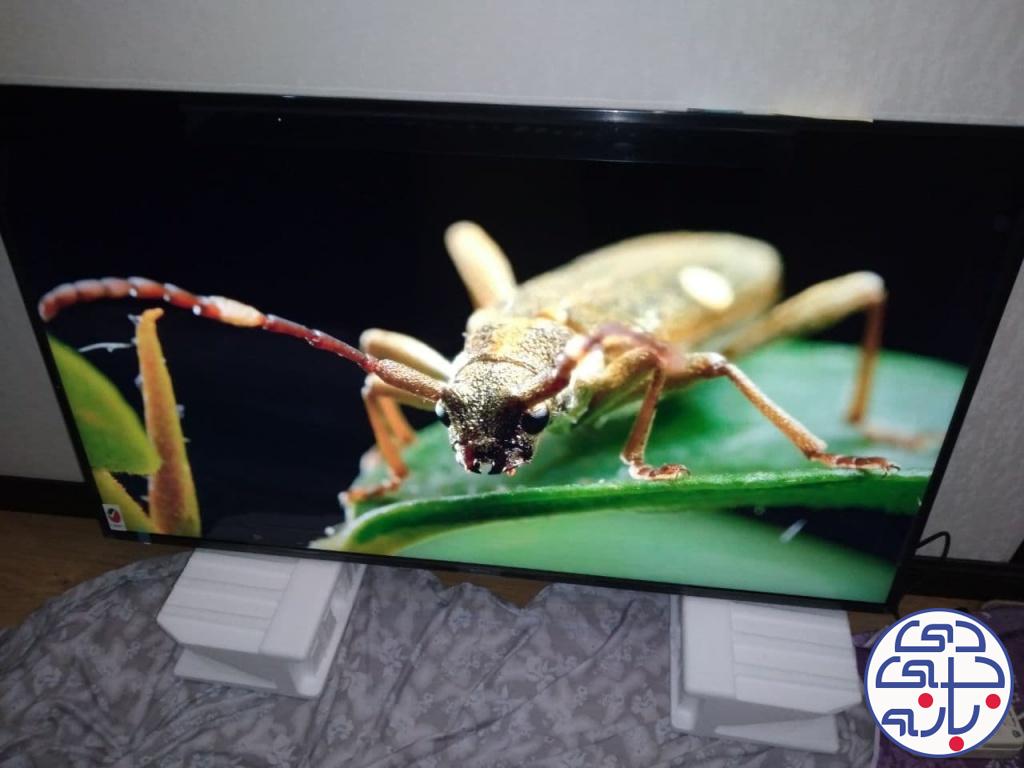 حسین بهارلو