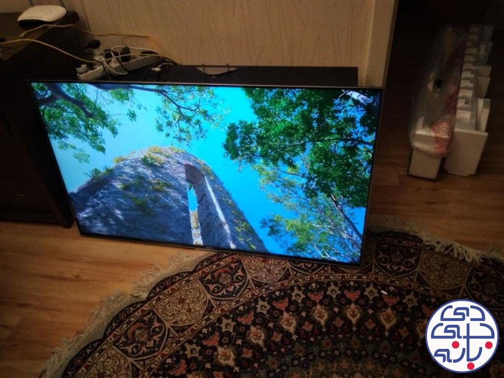 امیرحسین شاهی