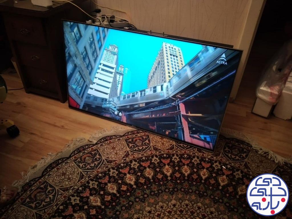 امیرحسین شاهی