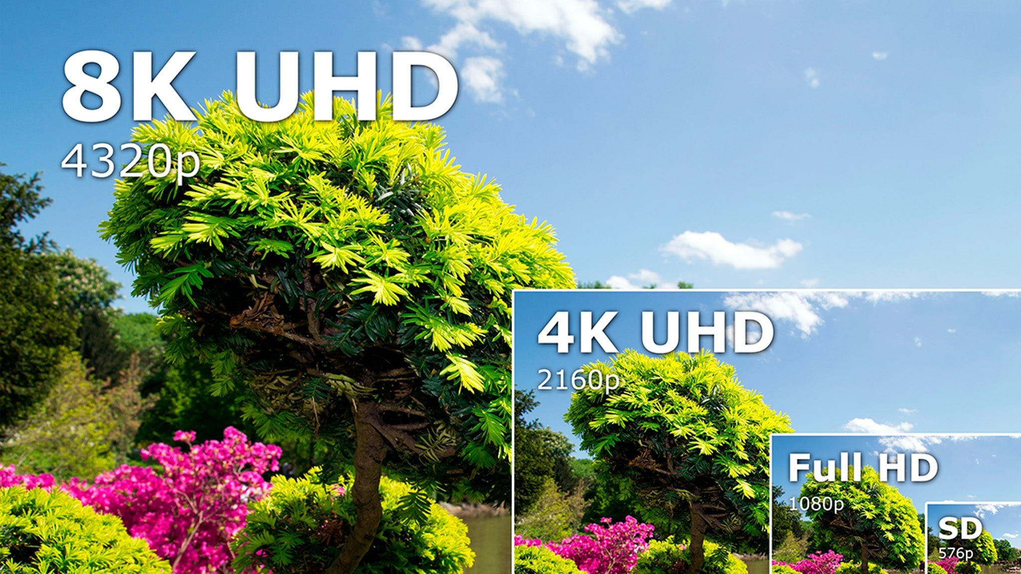 تلویزیون 4K و 8K محصول 2025 در دی جی بانه