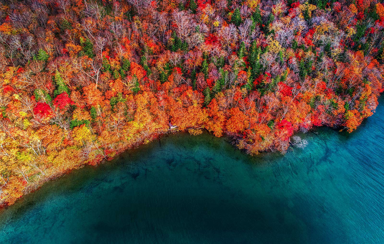 تولید رنگ های طبیعی با استفاده از تکنولوژی Nano Cell در تلویزیون ال جی SM8600PVA