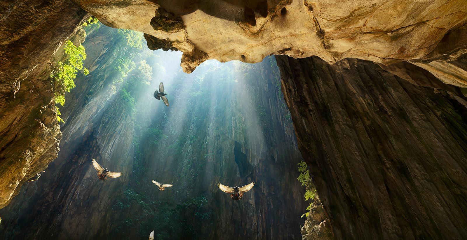 کیفیت تصویر 4K HDR در تلویزیون ال جی SM8600