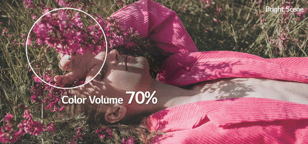 تلویزیون ال جی B1 سایز 55 اینچ با حجم رنگی 100% طبیعی