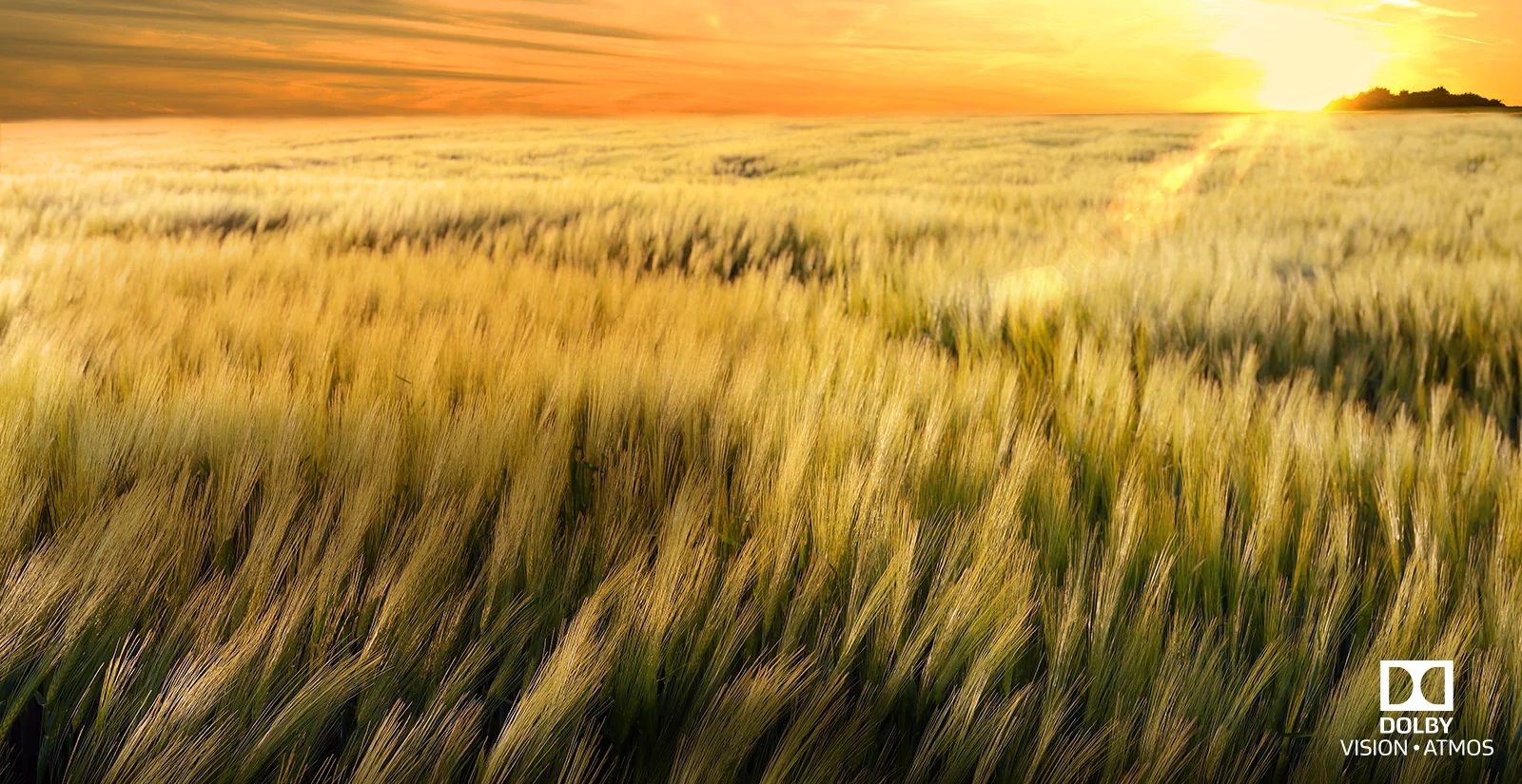 تلویزیون ال جی B9 مجهز به فناوری dolby Vision و dolby Atmos