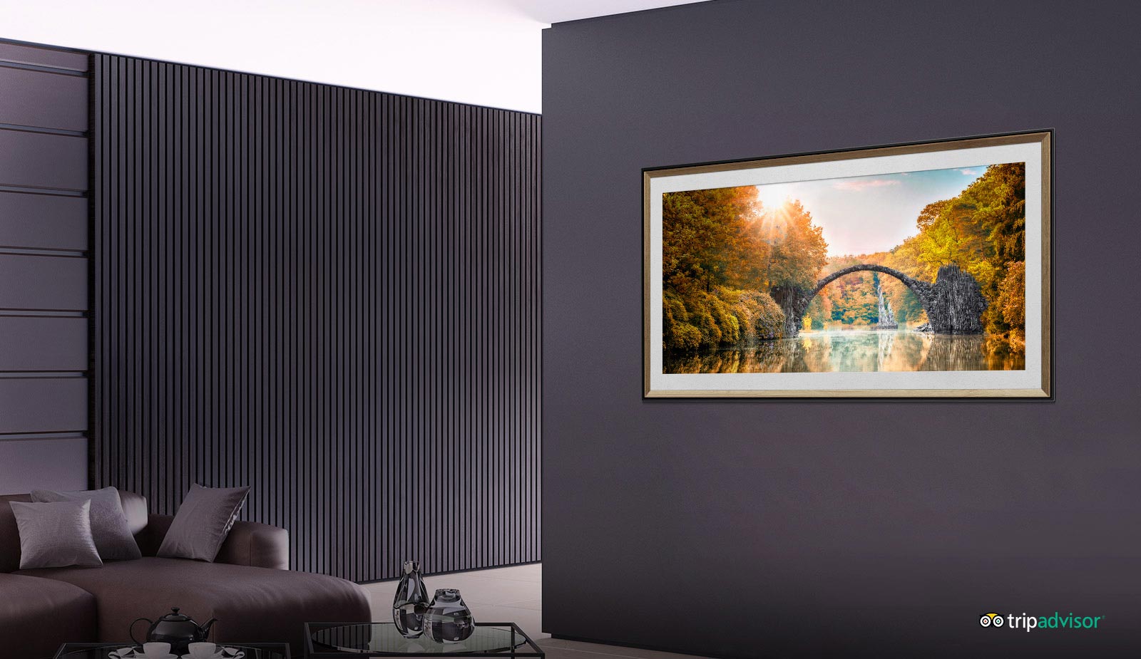 تبدیل تلویزیون 55BX به قاب عکس با حالت Art Gallery