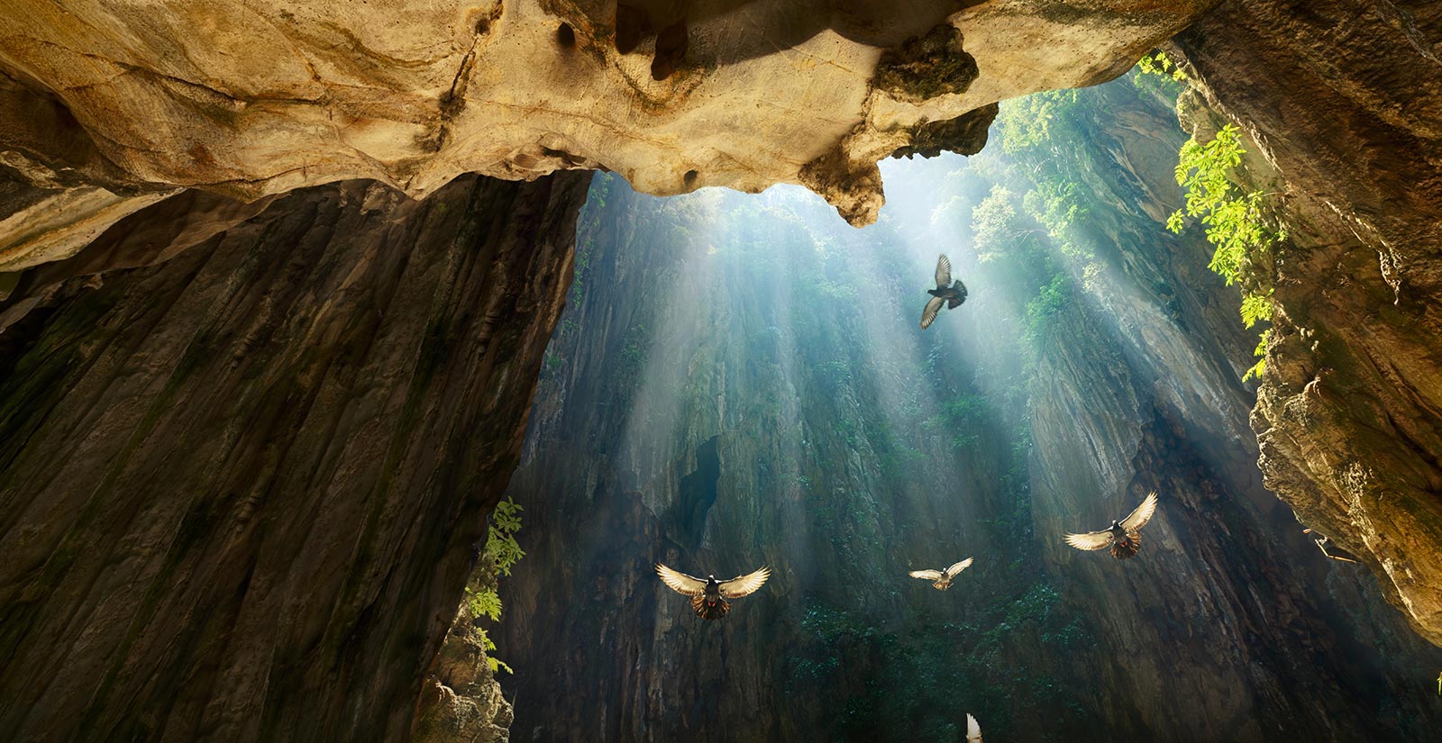 فناوری 4K Cinema HDR در تلویزیون ال جی C9