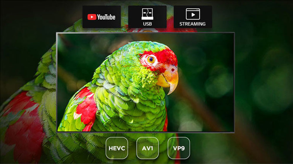 تلویزیون CX از کدک های مختلف تصویر پشتیبانی می کند