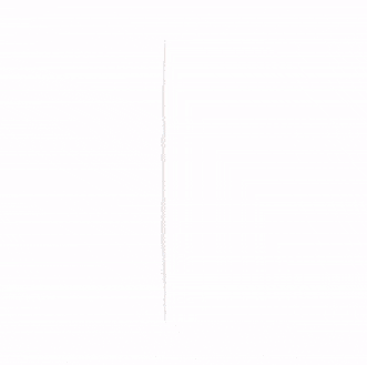 تلویزیون صفحه تخت ال جی G1 مجهز به فناوری OLED evo