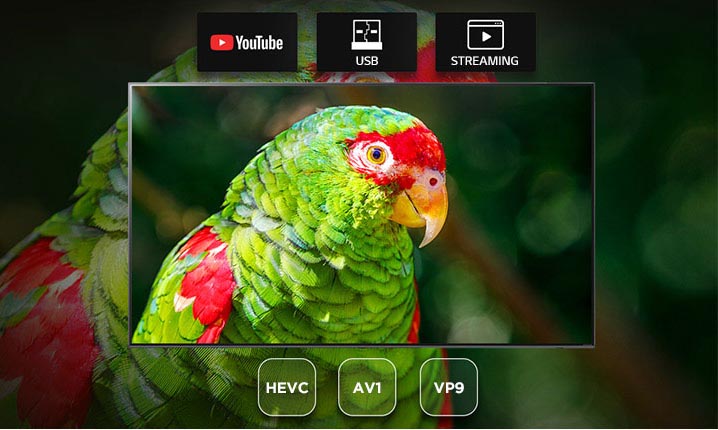 پشتیبانی از کدک های تصویری در تلویزیون NANO95 ال جی