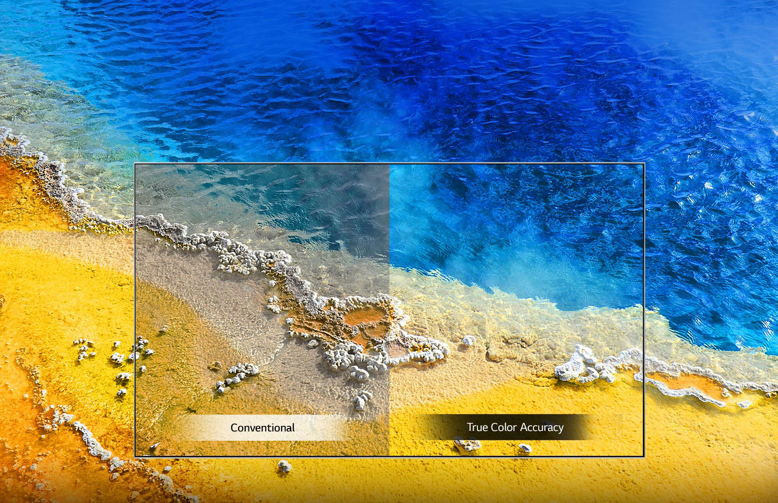 تکنولوژی True Color Accuracy در تلویزیون ال جی UM7450