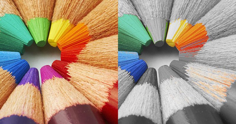 طیف رنگی گسترده در OLED854 فیلیپس