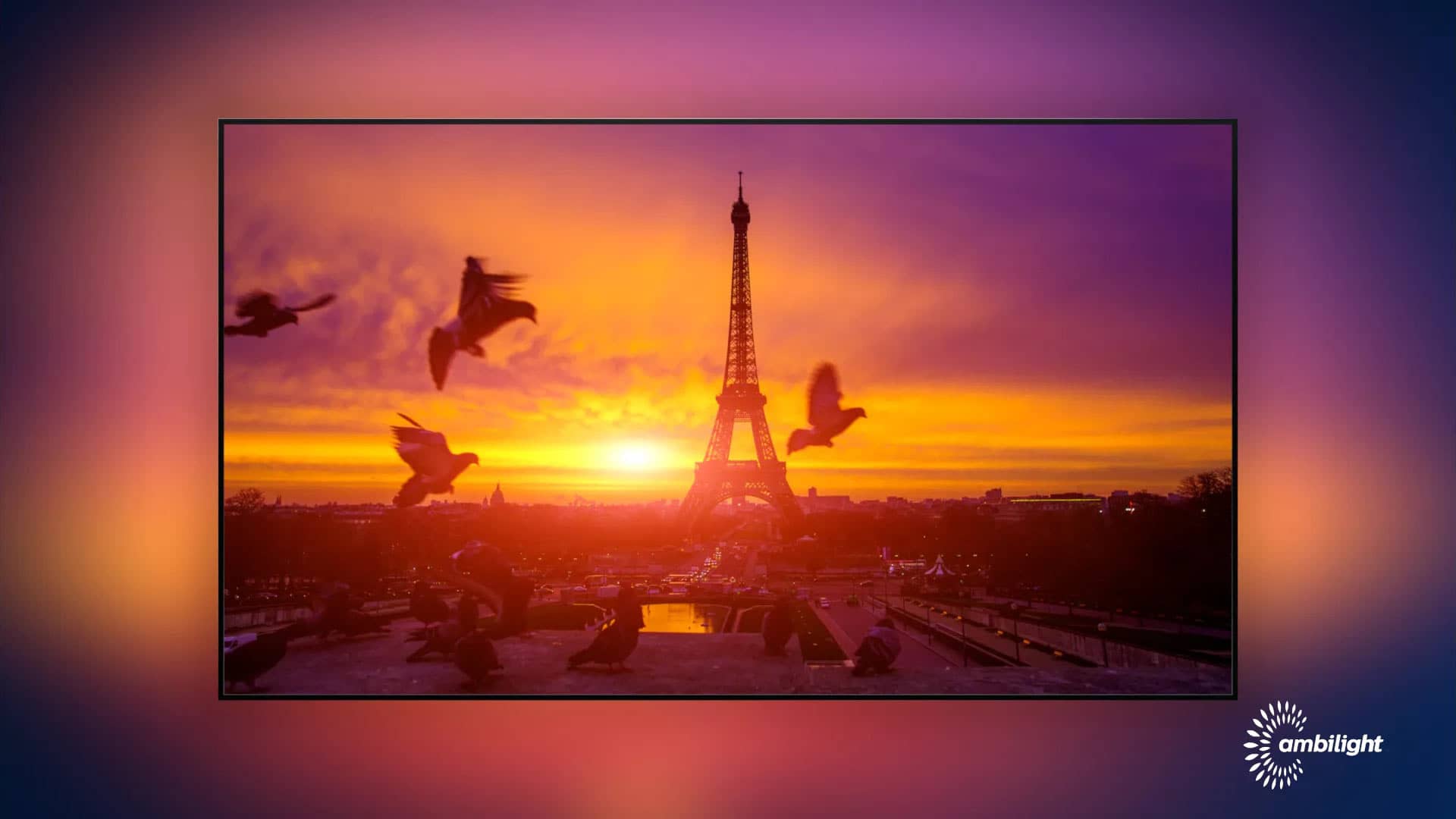 قابلیت آمبی لایت و پخش نور در اطراف قاب تلویزیون فیلیپس PML9506