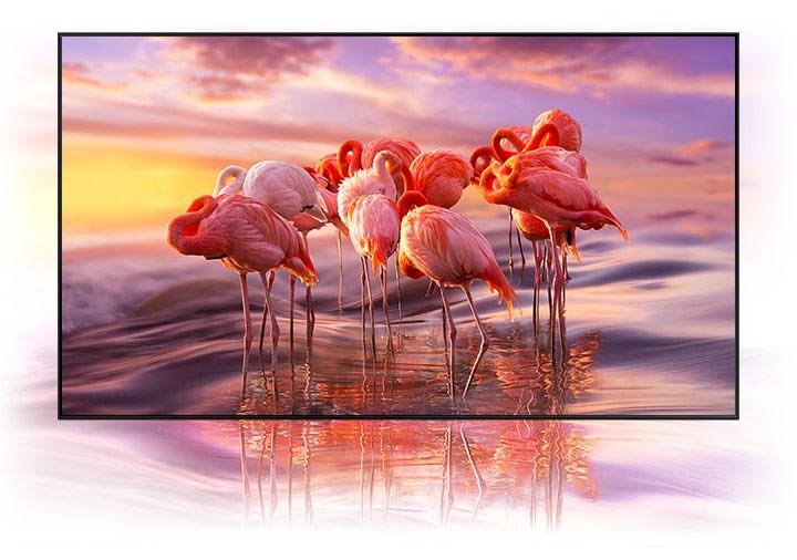 تلویزیون Q70T مجهز به فناوری Quantom Dot و تولید رنگ های طبیعی