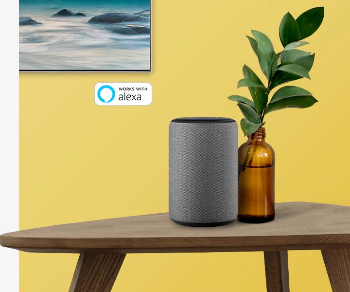 تلویزیون Q80R از دستیار صوتی الکسا پشتیابنی می کند