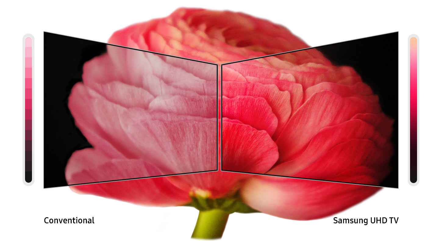 مقایسه تکنولوژی PurColor تلویزیون سامسونگ با تلویزیون معمولی