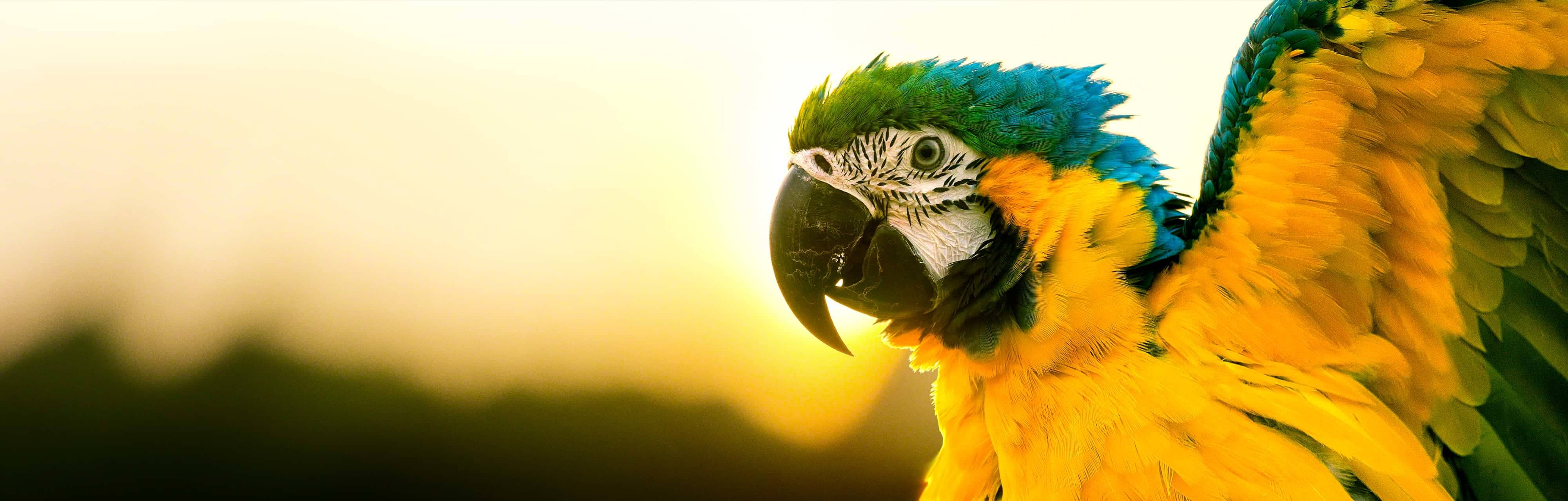 تلویزیون فورکی سونی A80J سایز 55 اینچ