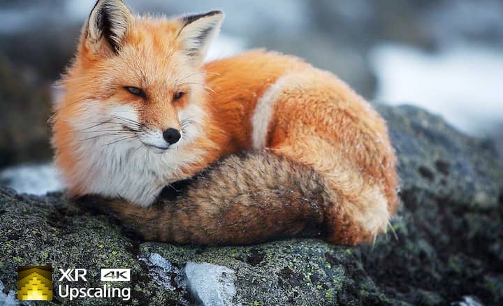 افزایش رزولوشن تصاویر و تبدیل به کیفیت 4K در تلویزیون 55A80J سونی