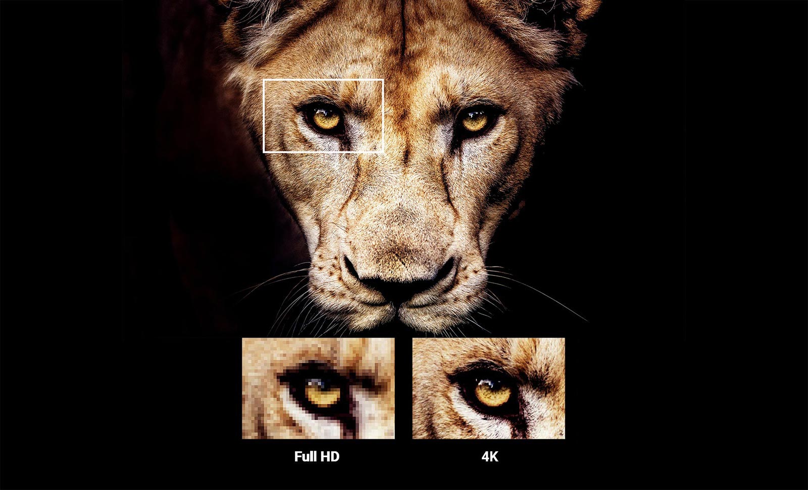 تلویزیون اولد سونی A9S یکی از کوچک ترین تلویزیون های اولد بازار است