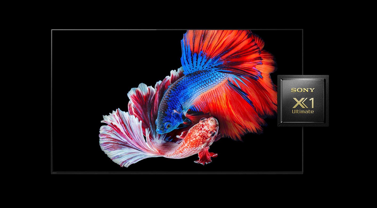 تکنولوژی Dolby Vision