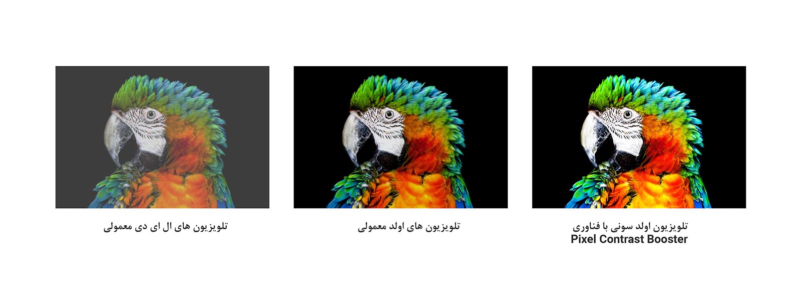 تکنولوژی Pixel Contrast Booster