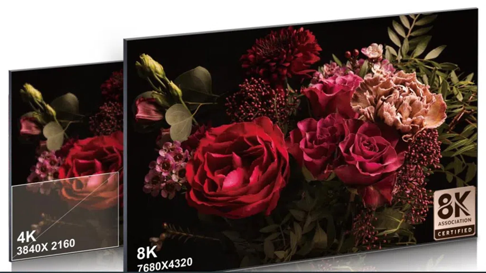 خرید ارزان تلویزیون سونی با انواع رزولوشن از دی جی بانه