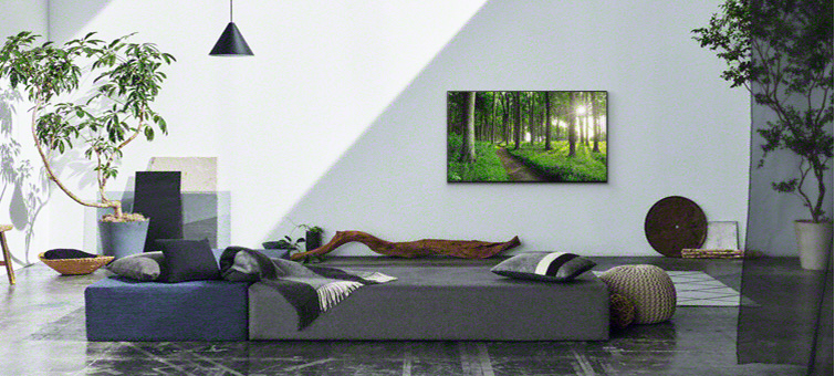 تبدیل تلویزیون Sony X80K به قاب عکس با ویژگی Living Decor