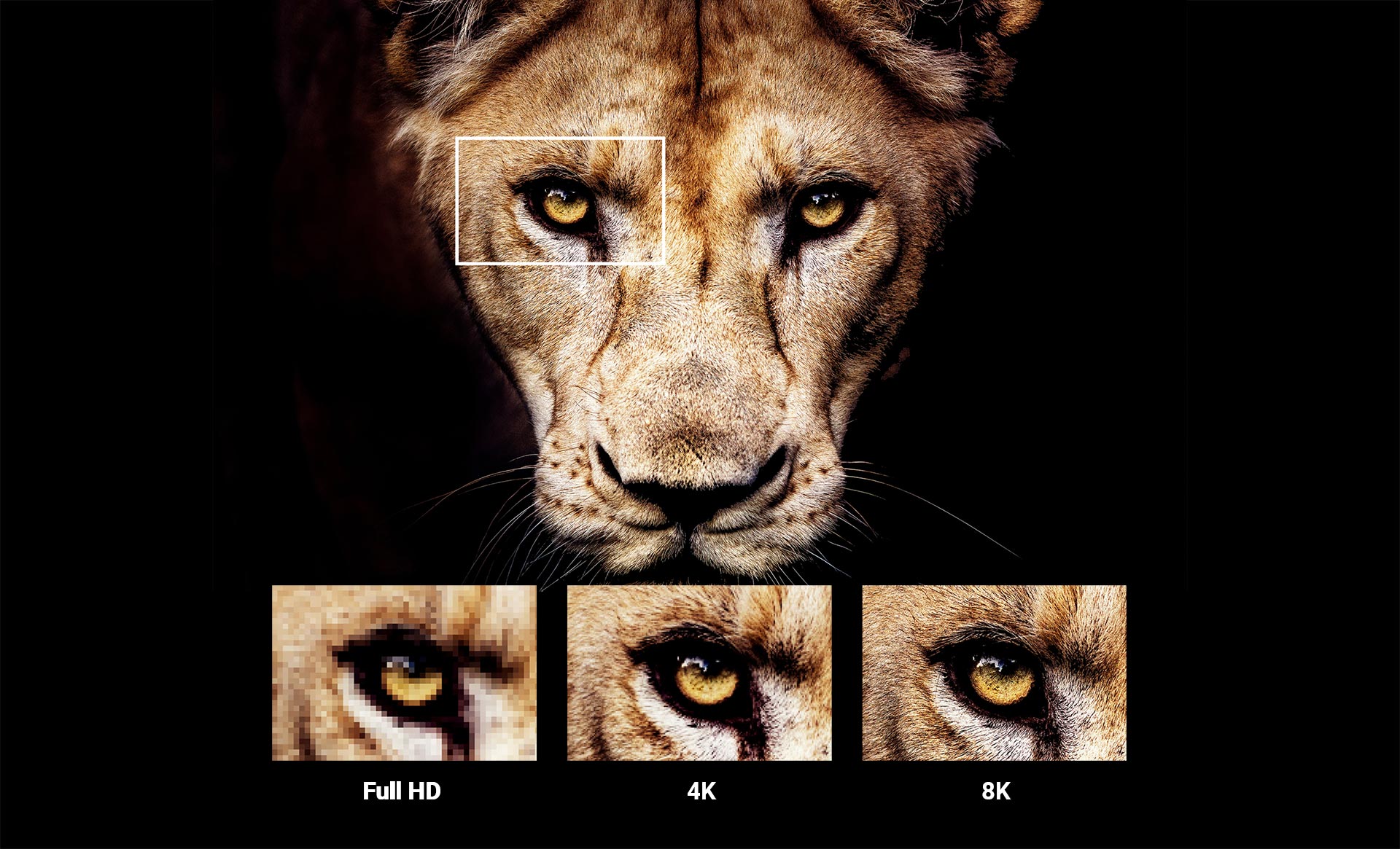 تلویزیون 8K سونی Z8H محصول 2020 سونی