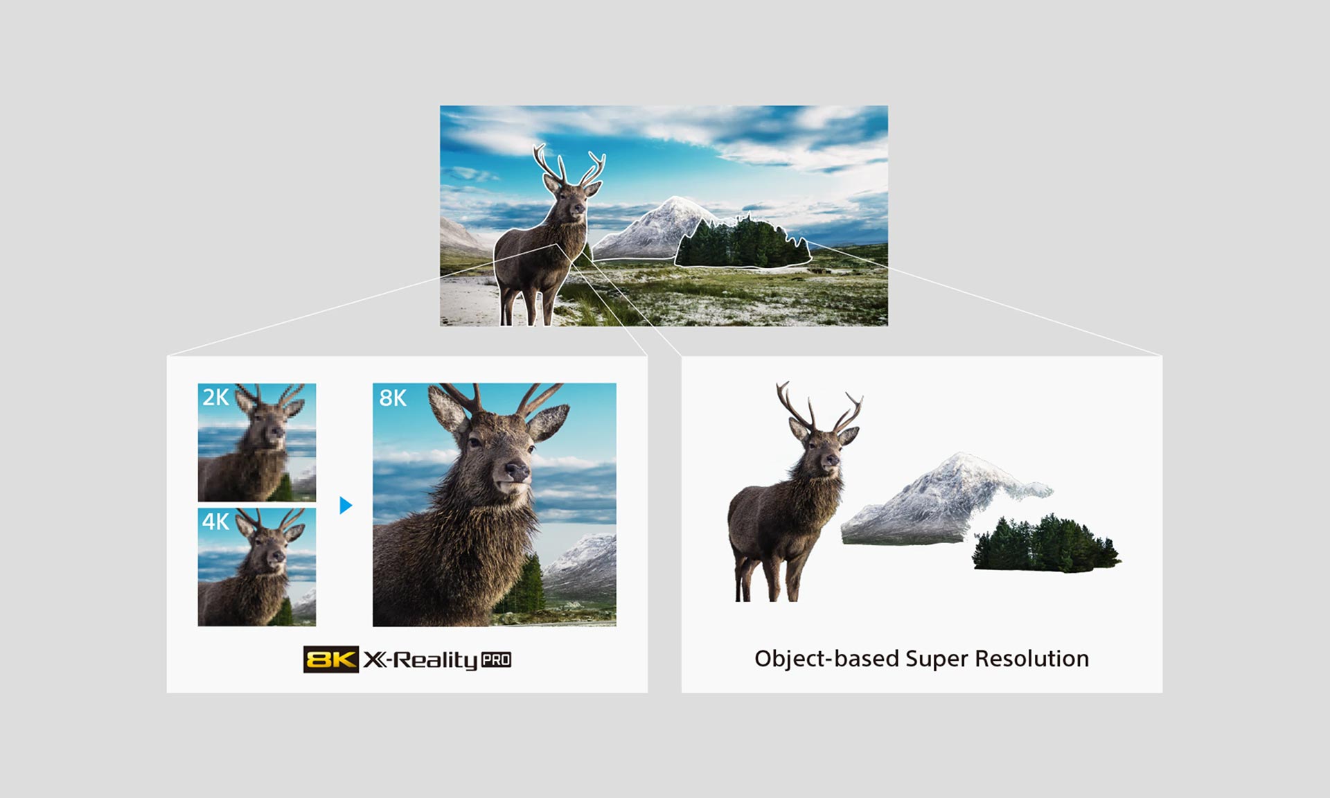 فناوری 8K X-reality Pro در تلویزیون سونی Z8H