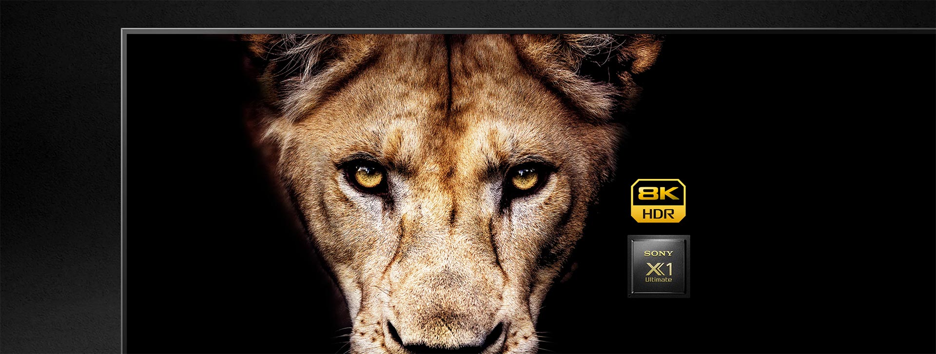 پردازشگر X1 Ultimate در تلویزیون سونی Z8H
