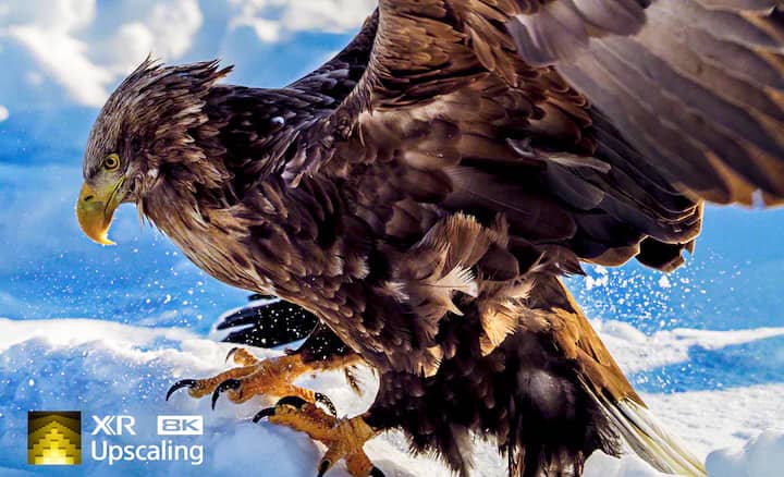 فناوری XR 8K UpScaling و افزایش رزولوشن تصاویر به 8K در تلویزیون Z9J