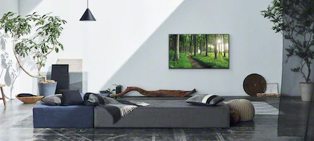 تبدیل تلویزیون LED سونی Z9J به قاب عکس و اثر هنری