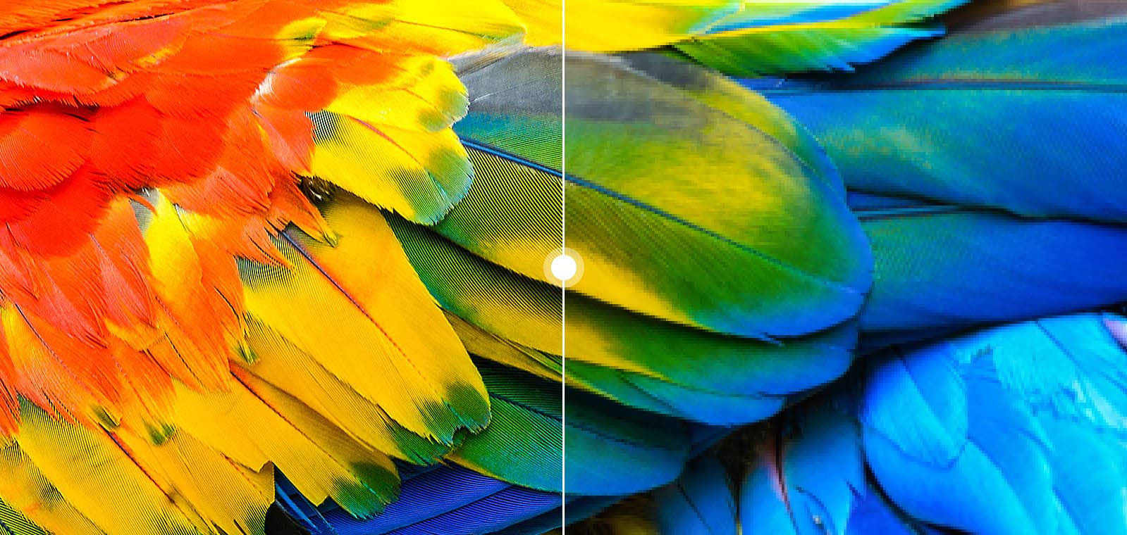 تلویزیون 4K شیائومی P1